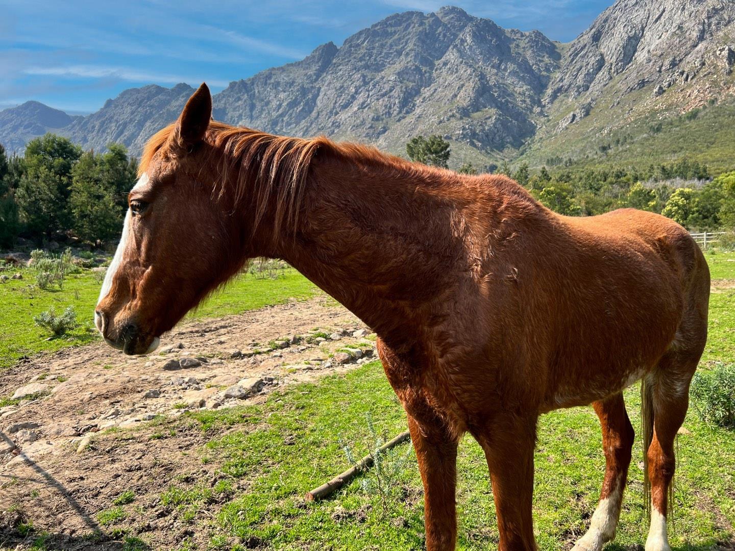 Commercial Property for Sale in Franschhoek Rural Western Cape